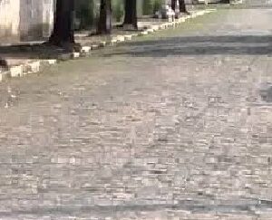 PARALELEPIPEDO USADO