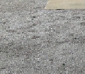 PEDRISCO PRETO
